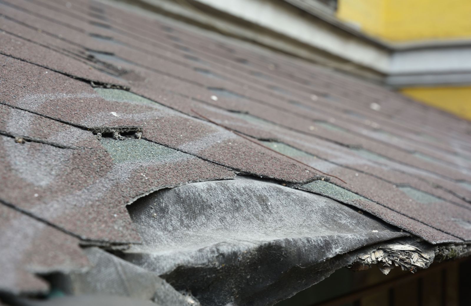 Bunch Roofing Images