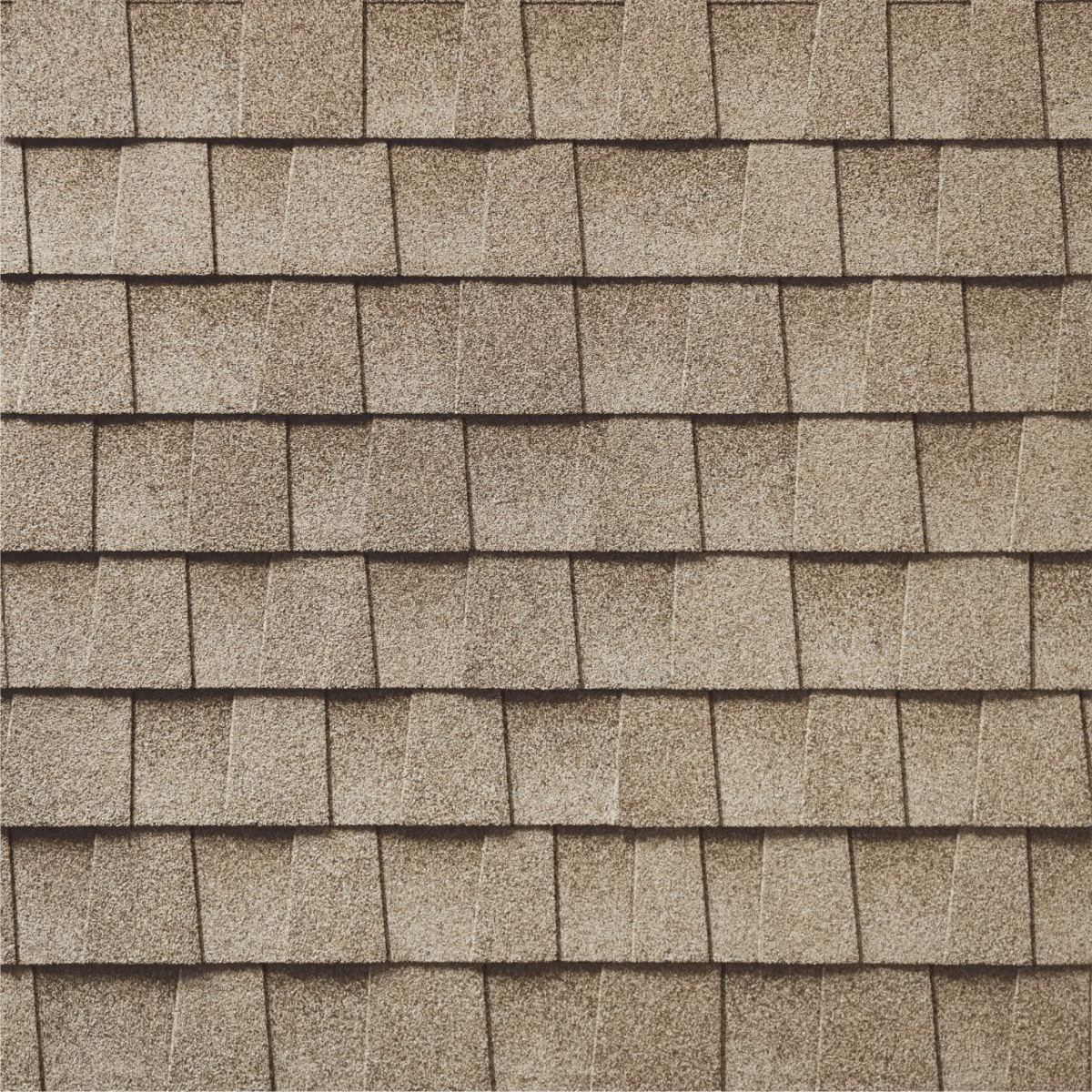 Bunch Roofing Images