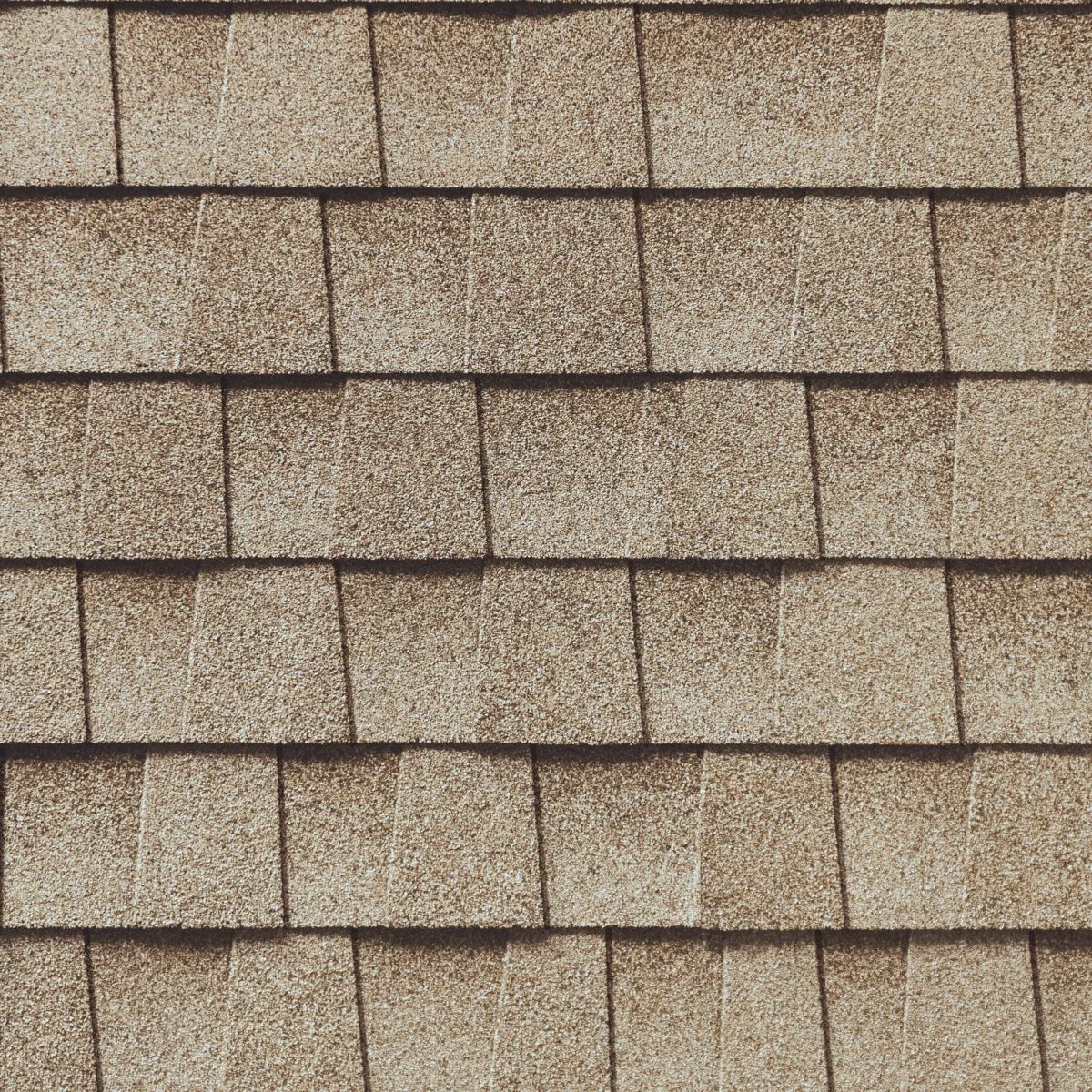Bunch Roofing Images