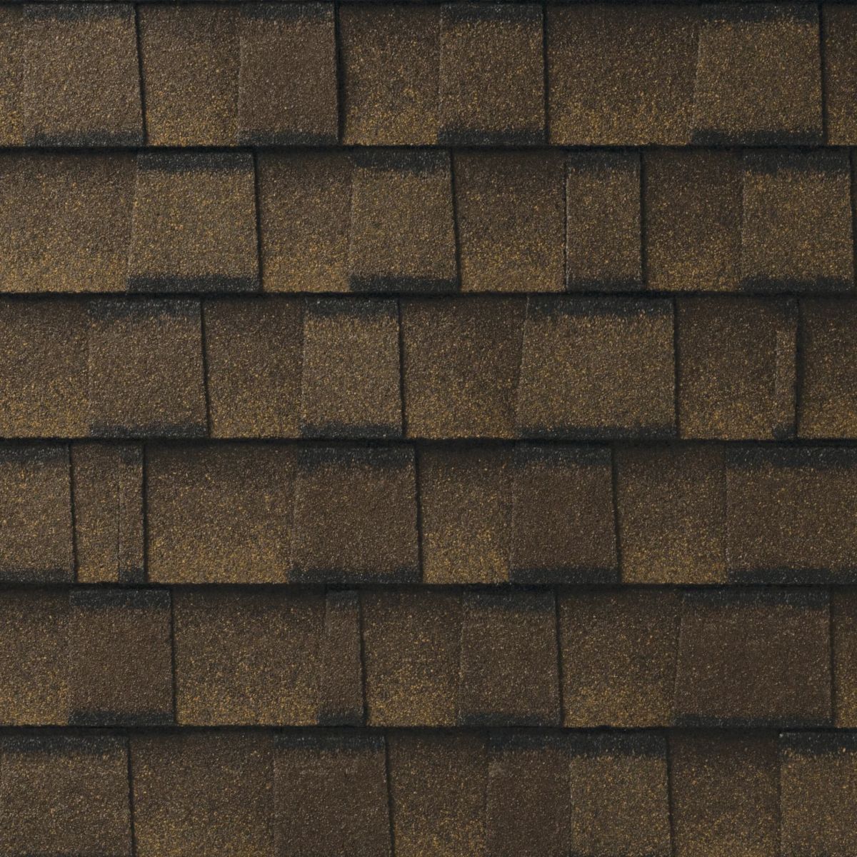 Bunch Roofing Images