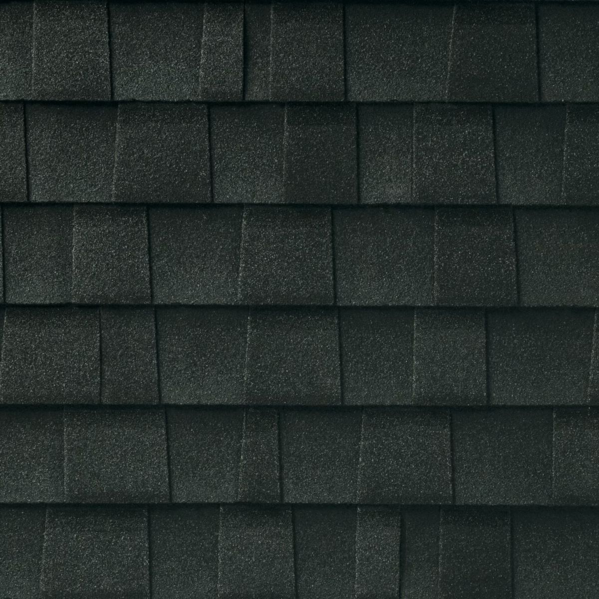 Bunch Roofing Images