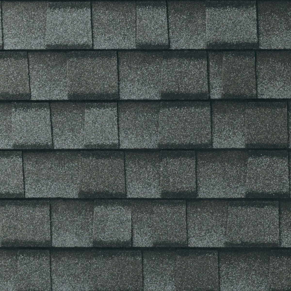 Bunch Roofing Images
