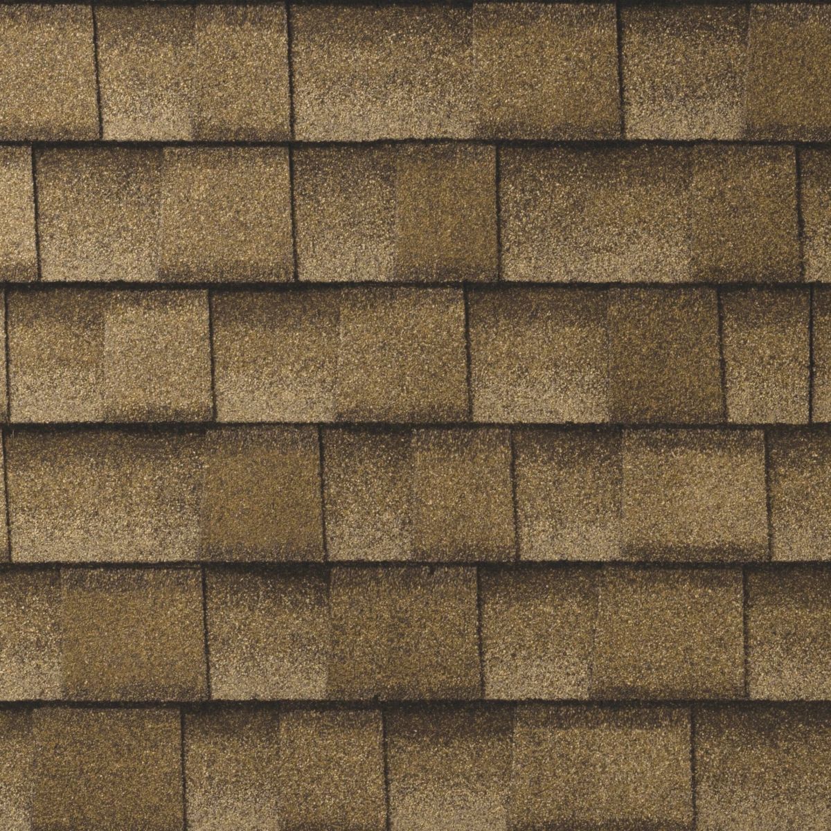Bunch Roofing Images