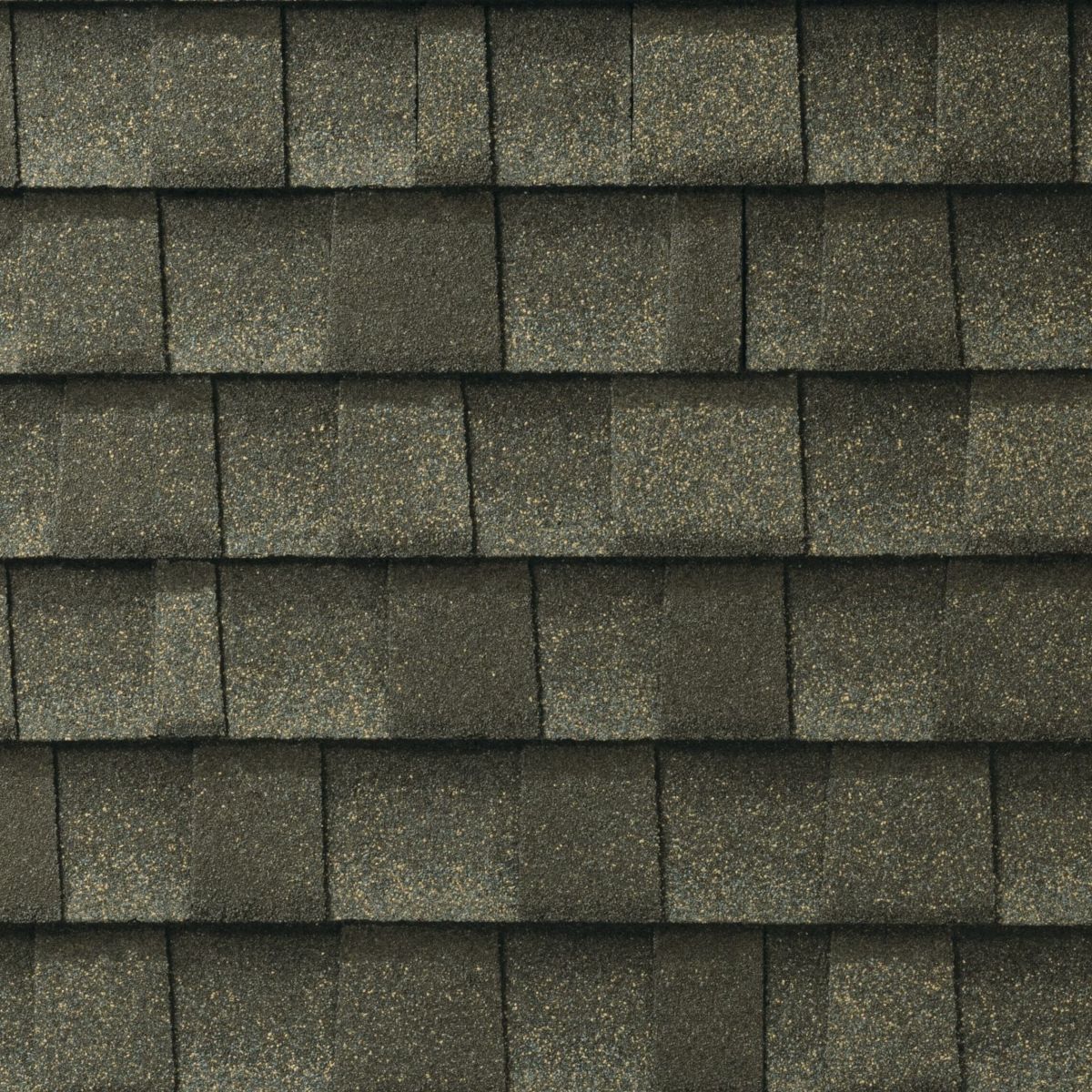 Bunch Roofing Images