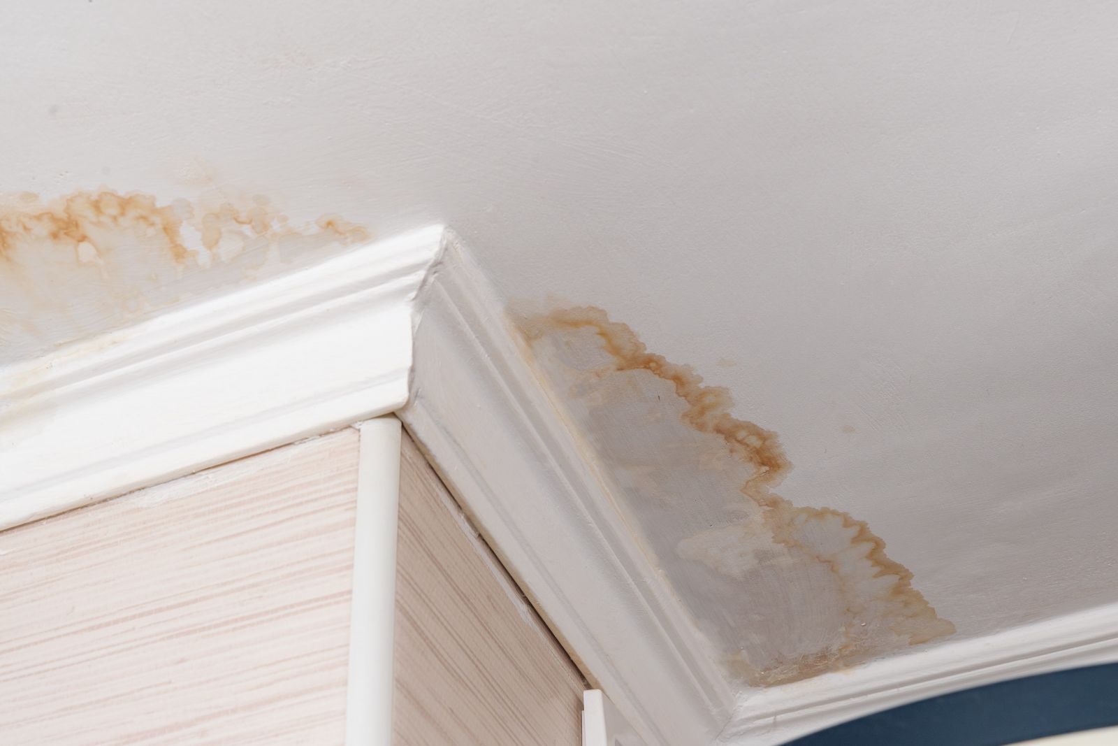 Bunch Roofing Images
