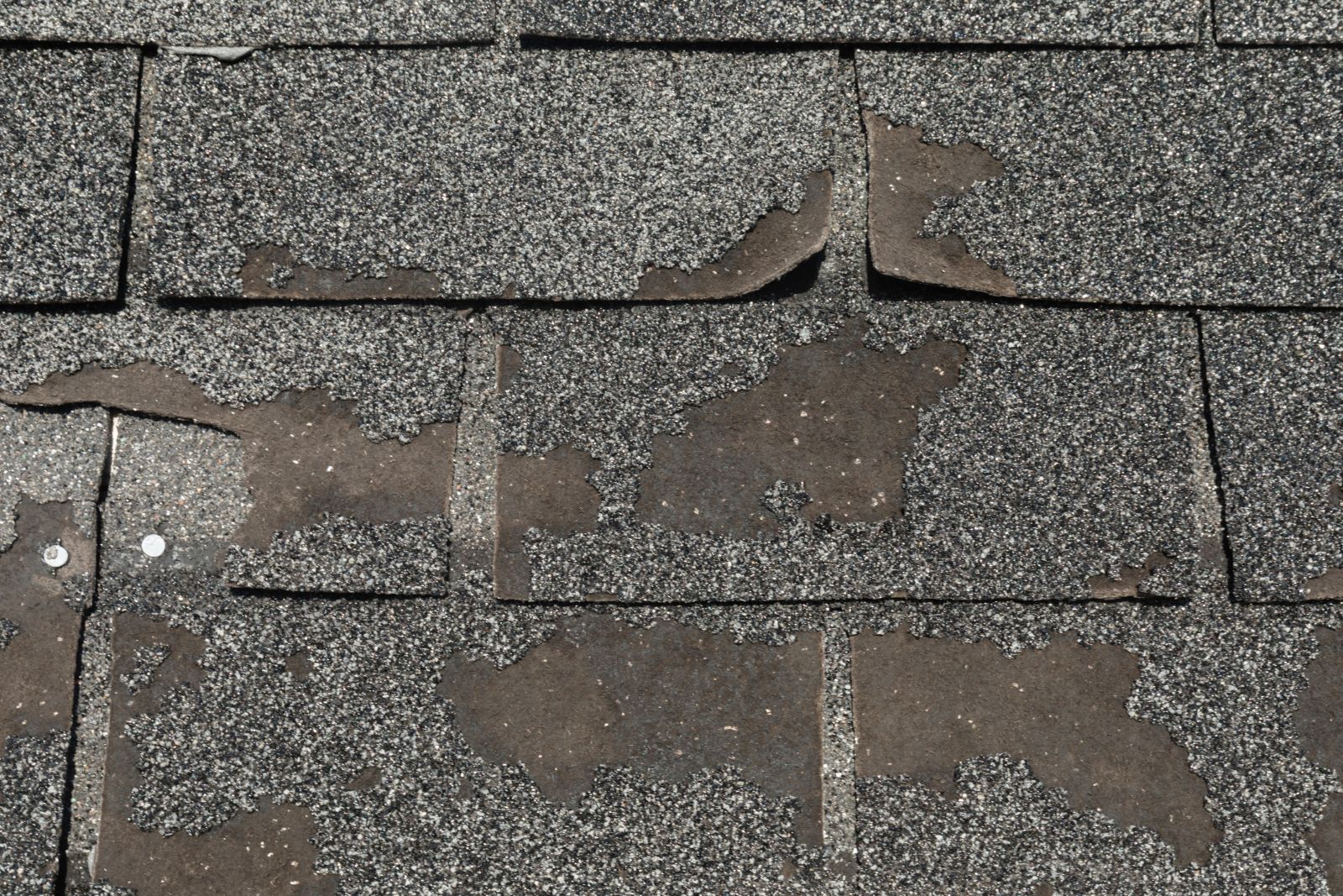 Bunch Roofing Images