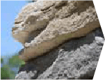 Bunch Roofing Images